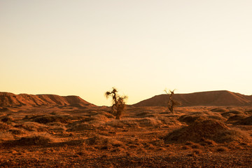 view of the gobi desert at sunrise.