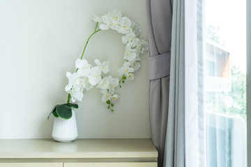 white orchid in vase decoration in a room