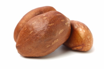 Loquat Brown Seed Isolated White Backgroun