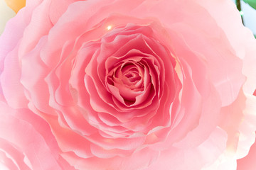 Beautiful Paper made of carnations, flower isolated 