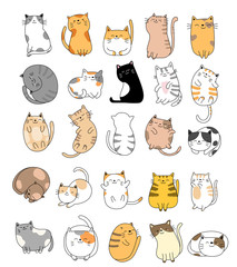 Cute baby cats cartoon hand drawn style,for printing,card, t shirt,banner,product.vector illustration
