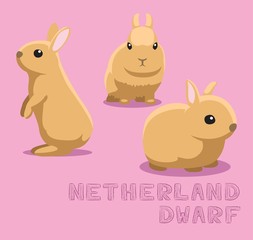 Rabbit Netherland Dwarf Cartoon Vector Illustration