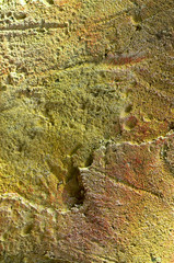 Background texture of yellow with orange stone with cracks, irregularities and divorces. Blur, close-up, top view, plenty of space for text, nobody, vertical. Concept of design and nature.