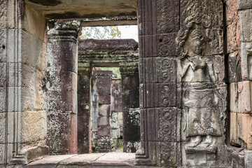 View of the Ta Prohm temple ruins in Siem Reap, Cambodia