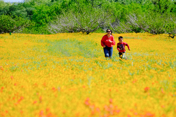 Spring flowers carpet in Texas Austin colorful blooming blossom roadside Mom son running