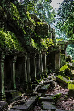 View of the moss covered Ta Prohm temple ruins in Siem Reap, Cambodia
