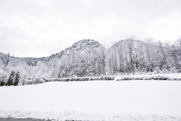 Fototapeta na wymiar mountain landscape cover Snow in Europe