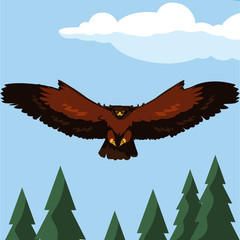 Fototapeta na wymiar beautiful eagle flying in the landscape majestic bird
