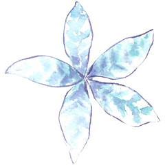 Watercolor hand painted blue leaves. Can be used as background for web pages, wedding invitations, greeting cards, postcards, textile design, package design, wallpapers, prints.