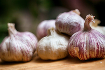 Garlic