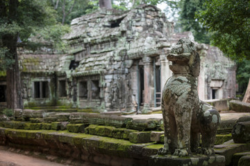 Beautiful lion sculpture at the Ta Prohm temple ruins in Siem Reap, Cambodia