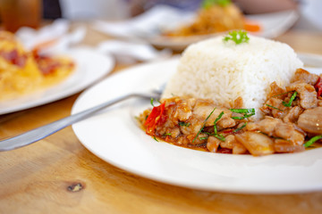 spicy fried pork Thai food with herb serve