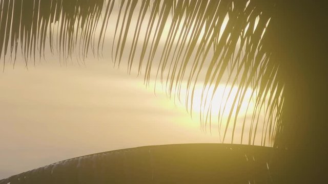 Silhouette of palm leaves on a beautiful orange sunrise on the island.