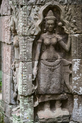 Fototapeta na wymiar Beautiful sculpture at the Ta Prohm temple ruins in Siem Reap, Cambodia