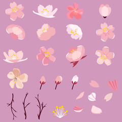 Sakura cherry blossom pack set