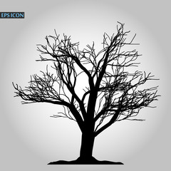 Tree icon. Forest symbol. Flat web sign on white background. Vector eps10