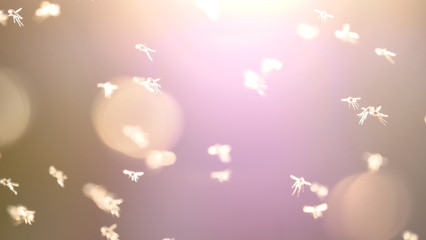 Mücken fliegend im Sonnenlicht
