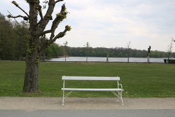 Bank im Park am Schloss Moritzburg in Sachsen