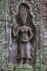 Fototapeta na wymiar Beautiful sculpture at the Ta Prohm temple ruins in Siem Reap, Cambodia