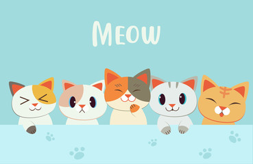 cute character cartoon kitten with meow text 