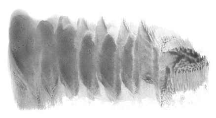 Abstract watercolor background hand-drawn on paper. Volumetric smoke elements. Neutral Gray color. For design, web, card, text, decoration, surfaces.