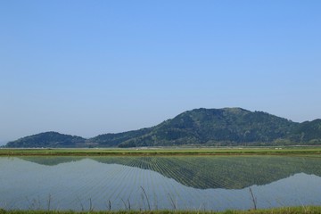 Fototapeta na wymiar 水田に映り込む山の風景