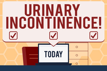 Text sign showing Urinary Incontinence. Business photo text uncontrolled leakage of urine Loss of bladder control Blank Huge Speech Bubble Pointing to White Laptop Screen in Workspace Idea