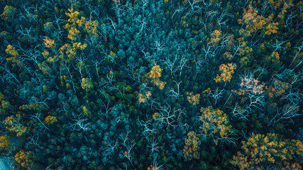 Aerial View of Australian Landscape and Farmland 