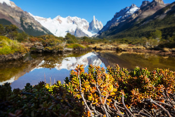 Cerro Torre