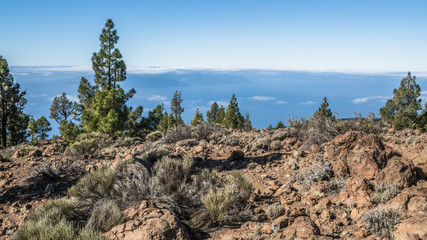 Sea of clouds to the horizon