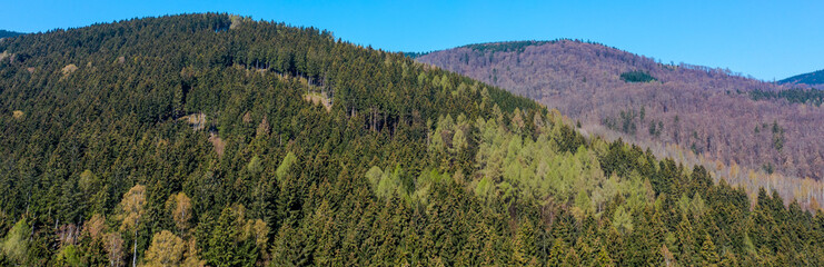 Conical mountain in the Harz Mountains covered with mixed forest