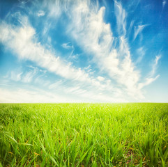 Obraz premium Beatiful morning field with bright sun