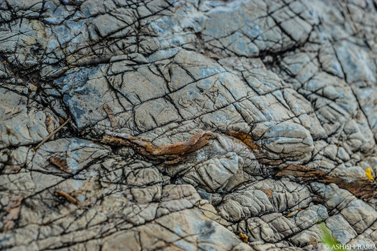 stone texture