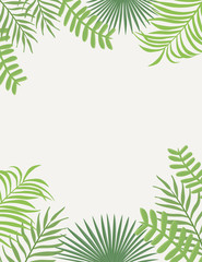 Fototapeta na wymiar Tropical frame green leaves white background