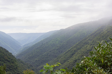 wild vast jungle territory in india, Meghalaya state landscape