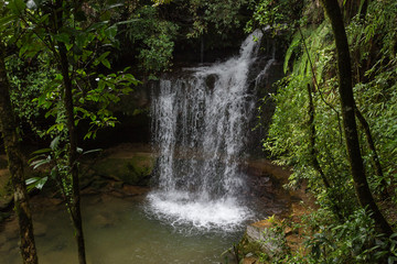 waterfall and a pond in the jungle, lonely place