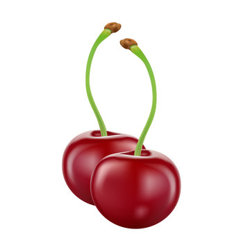 Cherry isolated on white background, vector illustration.