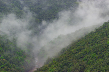 the river flows among the heavily overgrown jungle, in the midst of fog and clouds. trip to north east india
