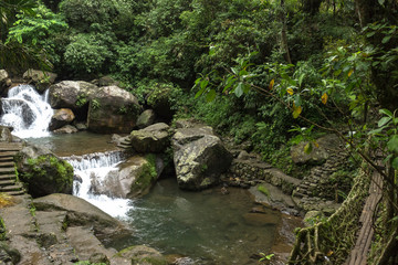 Naklejka na ściany i meble small waterfall nearby Double Decker Living Root Bridge in the Indian jungle