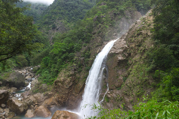 paradise in the jungle, the territory with a lake and a waterfall, the perfect holiday