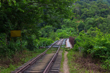 Fototapeta na wymiar old railroad in the jungle, assam india