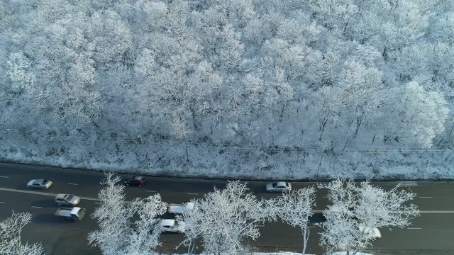 Aerial drift winter snow white frost trees frozen asphalt acive road traffic cars in deciduous forest countryside highway serpentine. Sunny day. Russia cold season north Siberia Europe