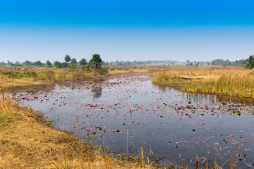 Reflection of sun in a lake, Purulia, West Bengal, India