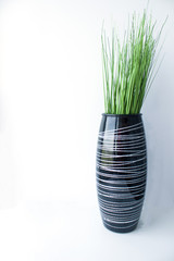 Vase with decorative grass on a white background with shadows