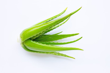 Aloe vera on white background