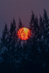Sun rises and sunset.