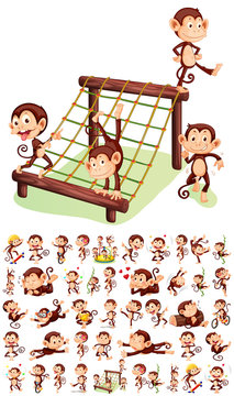 Set of cheerful monkey