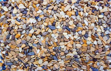 Multicolored round pebbles on the beach. Beautiful background