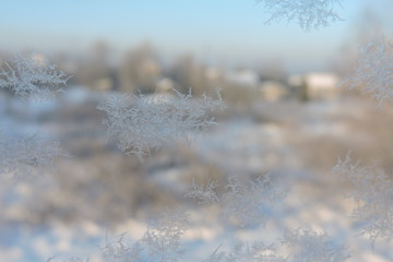 A close-up of beautiful ice flowers on a window