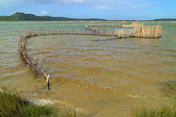 Traditional Tsonga fish traps built in the Kosi Bay estuary, Tongaland, South Africa. - obrazy, fototapety, plakaty
